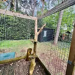 Cosy Veluwe With A Spacious Garden And Veranda