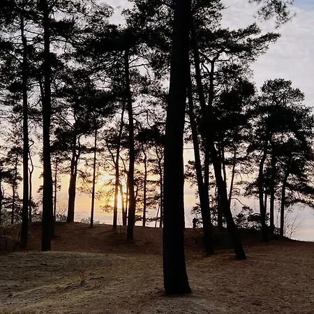 Cosy Veluwe With A Spacious Garden And Veranda