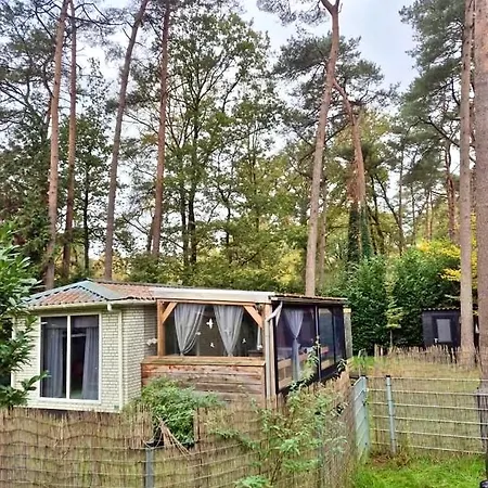 Cosy Chalet Veluwe With Airco, A Spacious Garden And Veranda *