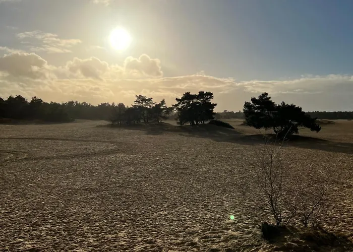 Cosy Veluwe With A Spacious Garden And Veranda * Doornspijk