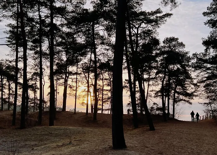 Cosy Veluwe With A Spacious Garden And Veranda