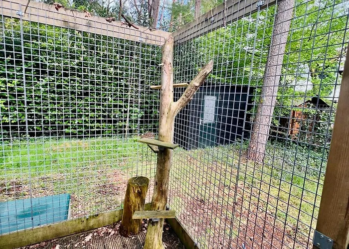 Cosy Veluwe With A Spacious Garden And Veranda