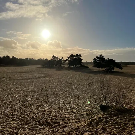 Cosy Veluwe With A Spacious Garden And Veranda * Doornspijk